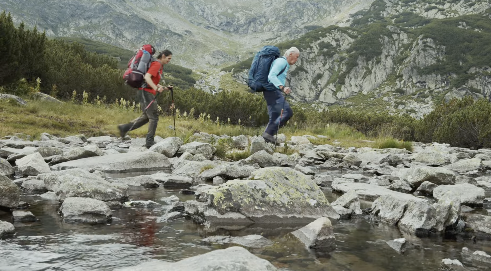 Mountain Wanderers
